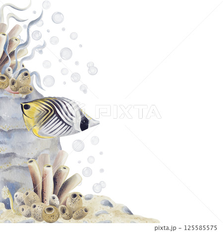 Template with coral reef and tropical exotic fish. Sea sponges on the seabed with pebbles. Algae and sea animals. Watercolor illustration without background. Hand drawing. High quality illustration Template with coral reef and tropical exotic fish. Sea sponges on the seabed with pebbles. Algae and sea animals. Watercolor illustration without background. Hand drawing. High quality illustration 125585575