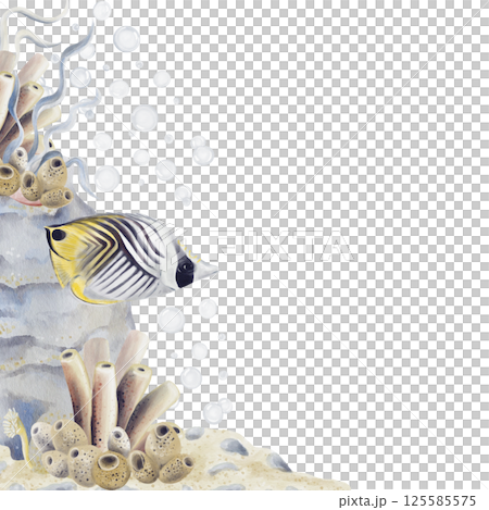 Template with coral reef and tropical exotic fish. Sea sponges on the seabed with pebbles. Algae and sea animals. Watercolor illustration without background. Hand drawing. High quality illustration Template with coral reef and tropical exotic fish. Sea sponges on the seabed with pebbles. Algae and sea animals. Watercolor illustration without background. Hand drawing. High quality illustration 125585575