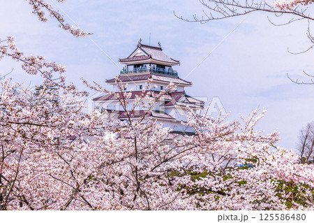 【福島県_会津若松市】白壁と赤瓦のコントラストの美しい鶴ヶ城 125586480