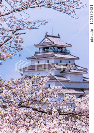 【福島県_会津若松市】白壁と赤瓦のコントラストの美しい鶴ヶ城 125586481