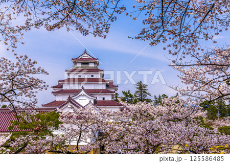 【福島県_会津若松市】白壁と赤瓦のコントラストの美しい鶴ヶ城 【福島県_会津若松市】白壁と赤瓦のコントラストの美しい鶴ヶ城 125586485