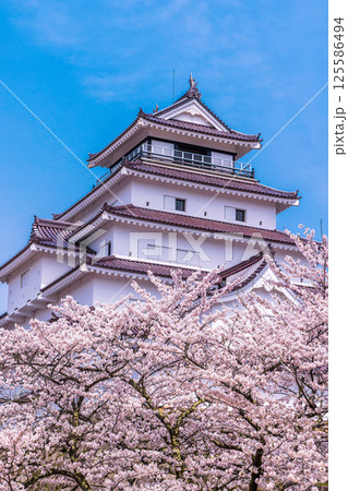 【福島県_会津若松市】白壁と赤瓦のコントラストの美しい鶴ヶ城 125586494