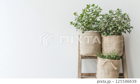 Eco-friendly home decor with plants in linen and jute pots on rustic ladder. concept of sustainable living, natural textures, indoor gardening, eco-design. Eco-friendly home decor with plants in linen and jute pots on rustic ladder. concept of sustainable living, natural textures, indoor gardening, eco-design. 125586639