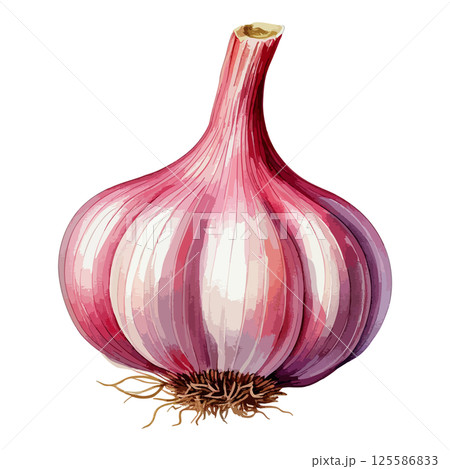 紫にんにくの水彩風イラスト　生成AI 125586833