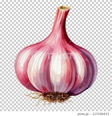 紫にんにくの水彩風イラスト　生成AI 125586833