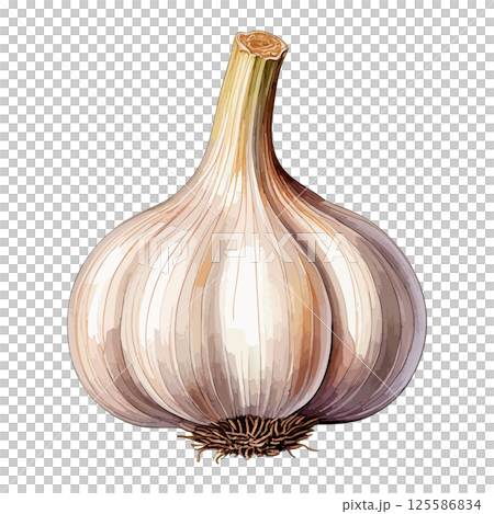 大蒜水彩插畫AI生成 大蒜水彩插畫AI生成 125586834