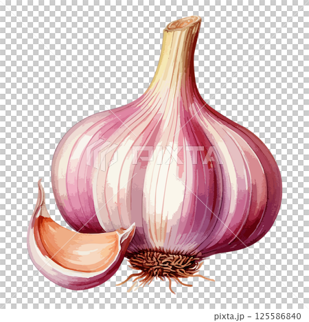 紫にんにくの水彩風イラスト 生成AI 紫にんにくの水彩風イラスト 生成AI 125586840