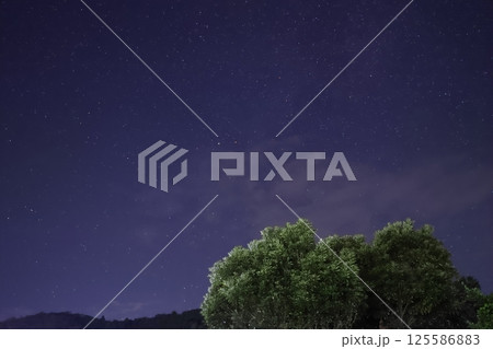 星空を見上げる(壁紙素材) 星空を見上げる(壁紙素材) 125586883
