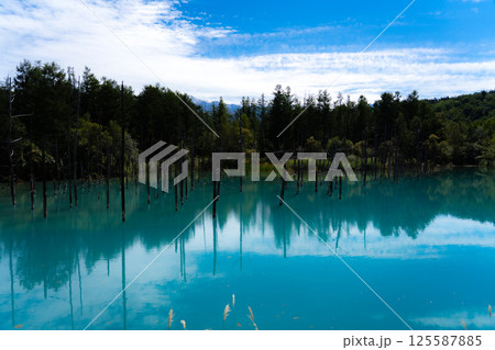 北海道美瑛の青い池 125587885