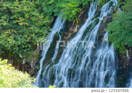 美瑛の白ひげの滝の絶景 美瑛の白ひげの滝の絶景 125587898
