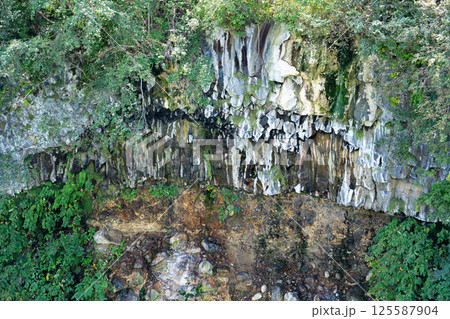 白ひげの滝周辺の柱状節理 白ひげの滝周辺の柱状節理 125587904