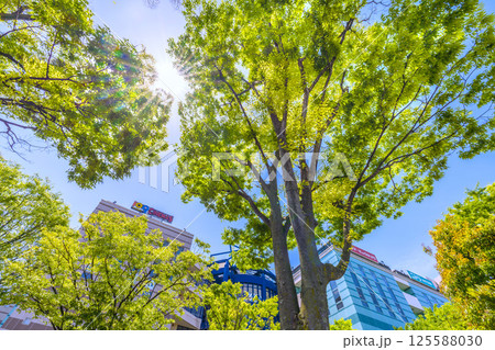 日本の横浜都市景観　地下鉄　「センター南駅」前などを望む 125588030