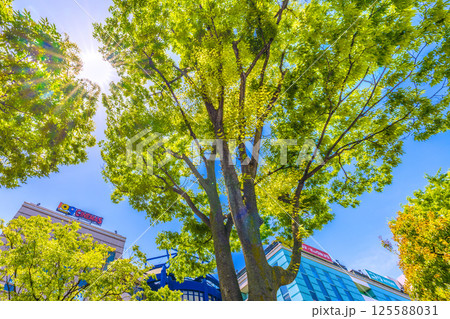 日本の横浜都市景観　地下鉄　「センター南駅」前などを望む 125588031