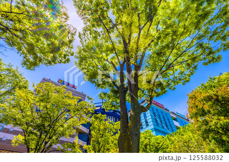日本の横浜都市景観 地下鉄 「センター南駅」前などを望む 日本の横浜都市景観 地下鉄 「センター南駅」前などを望む 125588032