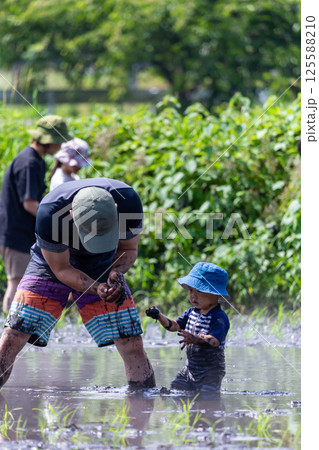 親子で田植え体験 幼児 親子で田植え体験 幼児 125588210