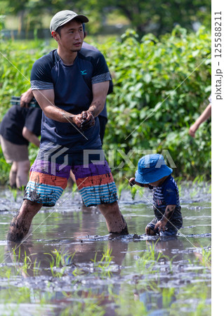 親子で田植え体験　幼児 125588211