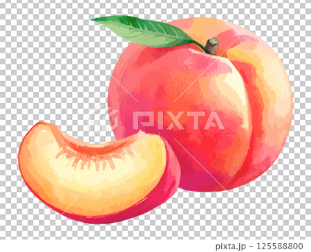 桃子水彩插圖及切開的桃子AI生成 桃子水彩插圖及切開的桃子AI生成 125588800