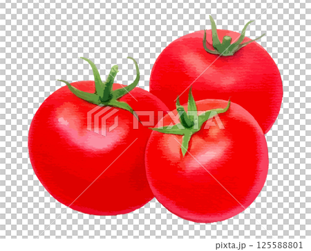 三個西紅柿的水彩插圖 - AI生成 125588801