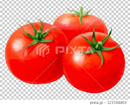 三個西紅柿的水彩插圖 - AI生成 125588803
