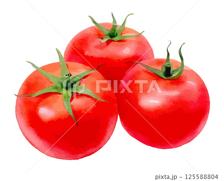 3つのトマトの水彩風イラスト　生成AI 125588804