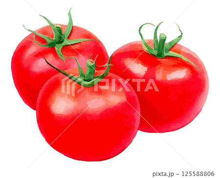 3つのトマトの水彩風イラスト 生成AI 3つのトマトの水彩風イラスト 生成AI 125588806