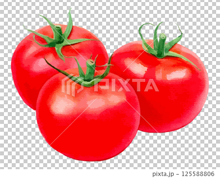 三個西紅柿的水彩插圖 - AI生成 三個西紅柿的水彩插圖 - AI生成 125588806