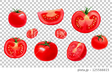 Watercolor illustration set of tomatoes from various angles AI generation 125588815