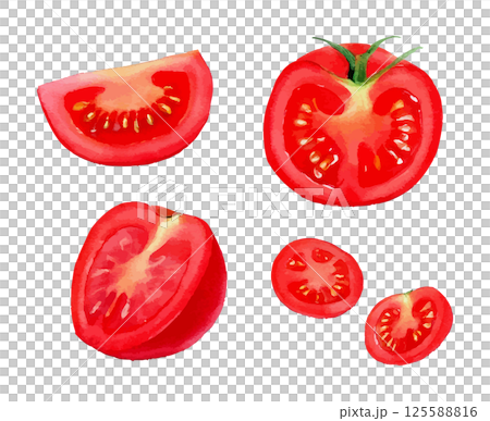 各種角度的西紅柿水彩插圖集AI生成 125588816