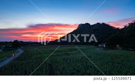 Aerial view of  colorful Sunset Over sunflower field. 125589071
