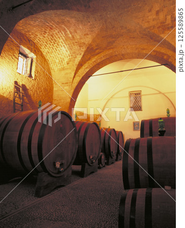 イタリア 老舗ワイナリー旧醸造所にある当時使用されていたワインの貯蔵樽 イタリア 老舗ワイナリー旧醸造所にある当時使用されていたワインの貯蔵樽 125589865