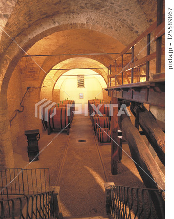 イタリア 老舗ワイナリー旧醸造所にある当時使用されていたワインの貯蔵樽 イタリア 老舗ワイナリー旧醸造所にある当時使用されていたワインの貯蔵樽 125589867