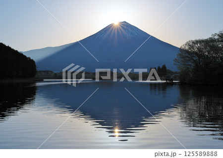 田貫湖から見る春のダブルダイヤモンド富士 125589888
