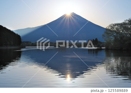 田貫湖から見る春のダブルダイヤモンド富士 125589889