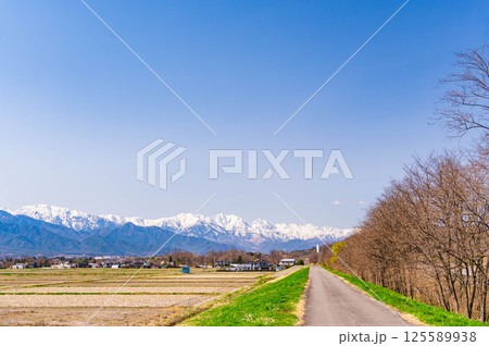 春の田園風景と土手　安曇野市 125589938