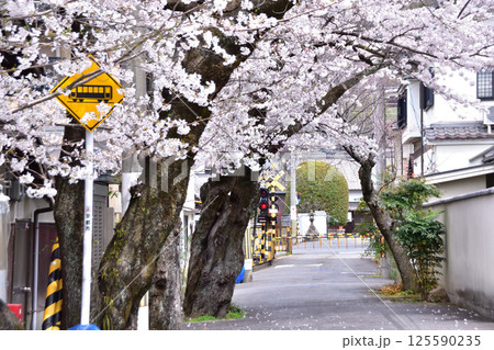 京都・山科・六角堂横の桜と京阪京津線の踏切 125590235