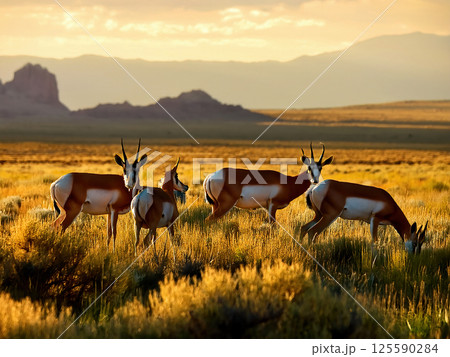 Generative AI Pronghorn Antelope Illustration 125590284