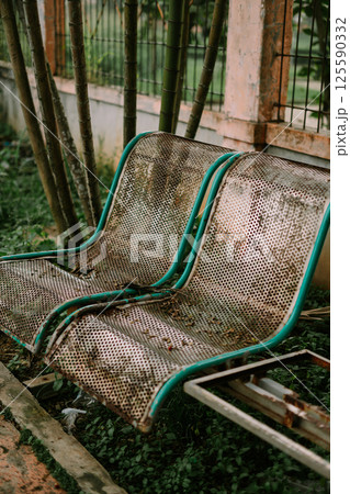 bench in the park 125590332