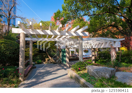 中国 上海市、上海人民公園 125590411