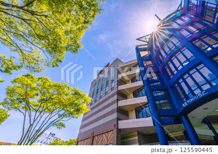 日本の横浜都市景観　地下鉄　「センター南駅」前などを望む 125590445