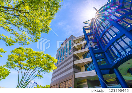 日本の横浜都市景観　地下鉄　「センター南駅」前などを望む 125590446