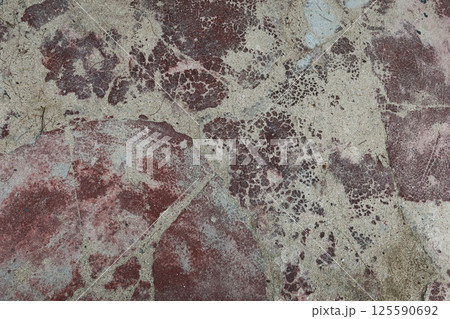 an abstract surface texture of smooth brown concrete stone with sand unevenly scattered on the surface an abstract surface texture of smooth brown concrete stone with sand unevenly scattered on the surface 125590692