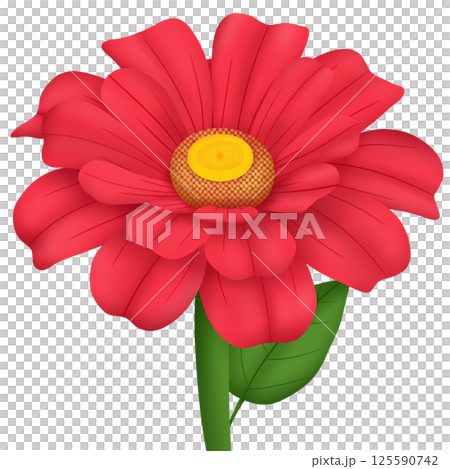 a flower of a gerbera 125590742