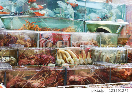 seafood market display featuring an array of live seafood in the aquarium tank including fish, lobsters crabs, abalone, shrimps, prawns crustaceans and shellfish moving lively seafood market display featuring an array of live seafood in the aquarium tank including fish, lobsters crabs, abalone, shrimps, prawns crustaceans and shellfish moving lively 125591275