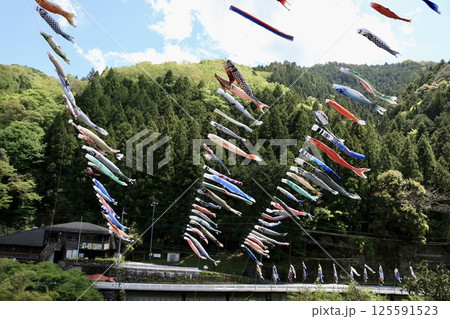 山間に泳ぐ鯉のぼり 125591523