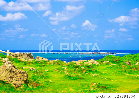 宮古島の有名観光地で南国バカンス・東平安名埼の青い海と津波石・津波岩・珊瑚礁（沖縄県宮古島市） 125591574