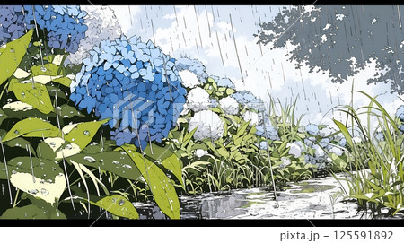 満開のアジサイと梅雨の雨
