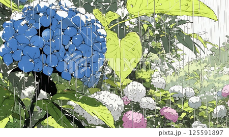 満開のアジサイと梅雨の雨