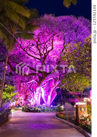 ハワイ ロイヤル・ハワイアンホテル ヘルモアガーデンの夜景 ハワイ ロイヤル・ハワイアンホテル ヘルモアガーデンの夜景 125592108