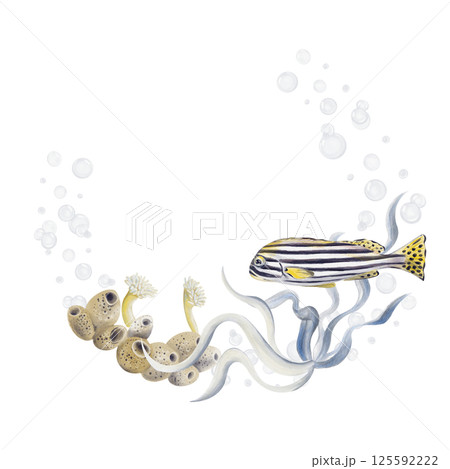 frame wreath with tropical fish and seaweed. sea sponge and echtinia. bubbles. striped exotic fish. Watercolor illustration isolated from background. Hand drawing. High quality illustration 125592222