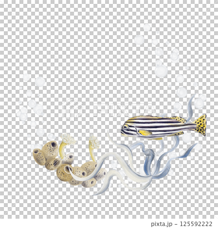frame wreath with tropical fish and seaweed. sea sponge and echtinia. bubbles. striped exotic fish. Watercolor illustration isolated from background. Hand drawing. High quality illustration 125592222